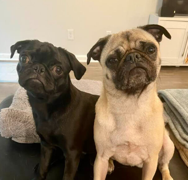 Hazel & Hershey